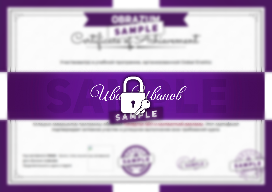 Образец сертификата Синергия SEO и контекстной рекламы
