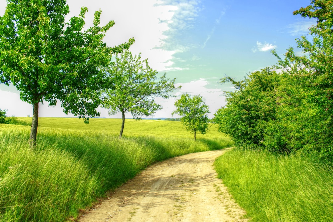 environmental health course online