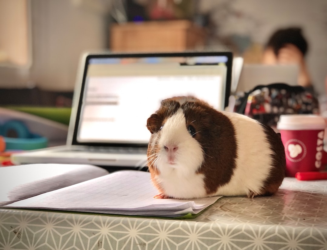 office assistant working