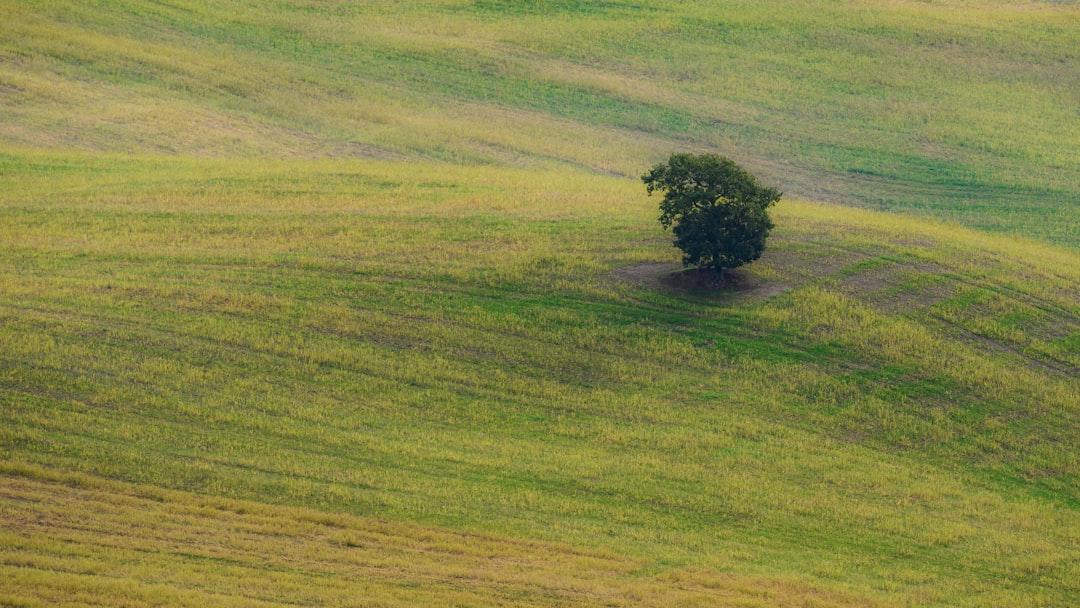 person meditating in nature