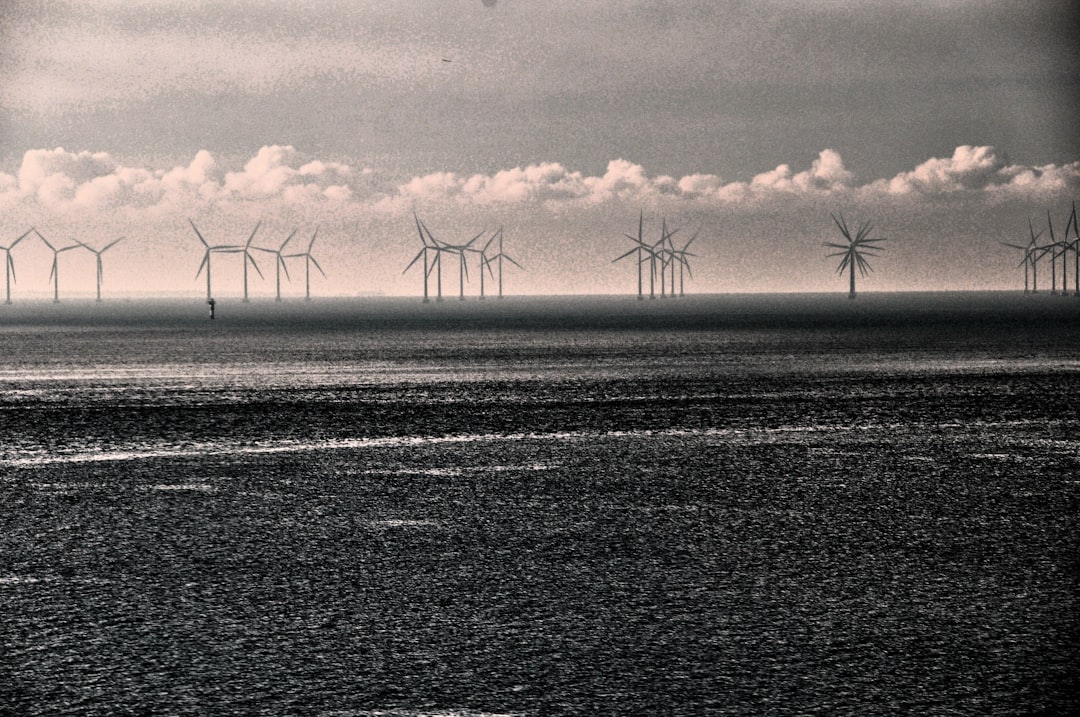 renewable energy future