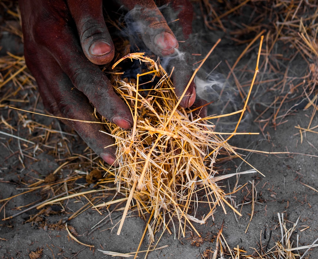 digital heritage technology